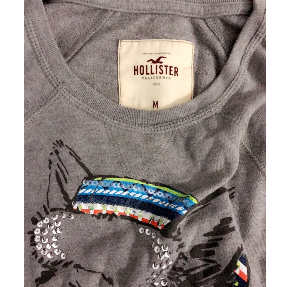 Hollister sweater
